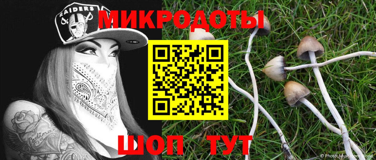 Новочебоксарск  Галлюциногенные грибы мицелий  Псилоцибиновые грибы мухоморы  цена наркотик  Вход с VPN 